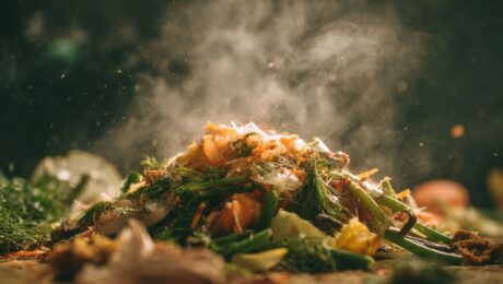 TripleW lanceert PLA-bioplastic op basis van voedselafval